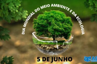 O Dia Mundial do Meio Ambiente e da Ecologia